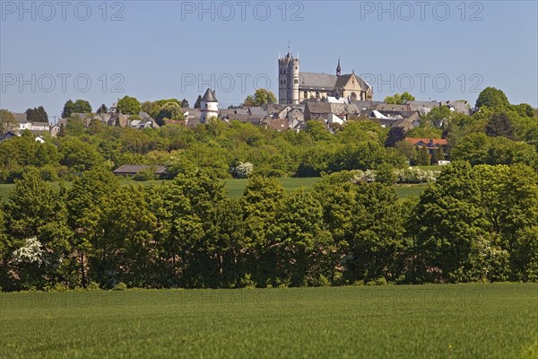 View of Munstermaifeld with the gothic collegiate church St. Martin and St. Severus