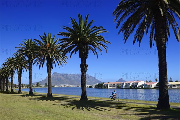 Cyclist in front of Woodbridge Island with views of Table Mountain and Lion's Head