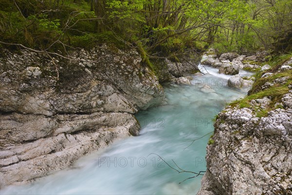 River Lepena flows through a gorge