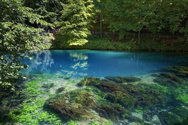 Blautopf