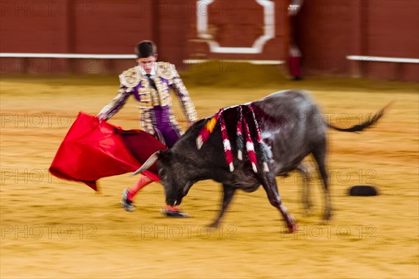 Racing bull with Matador