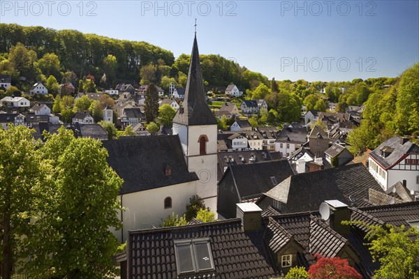 Cityscape with parish church of St. Maria Himmelfahrt