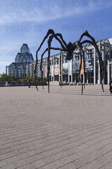 Giant spider statue made by Louise Bourgeois