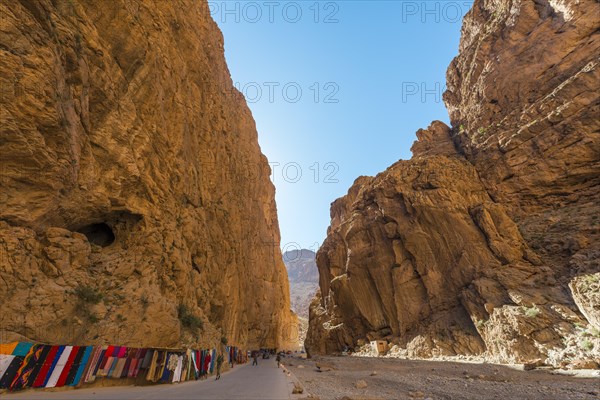 Gorges Toudra or Todgha Gorge