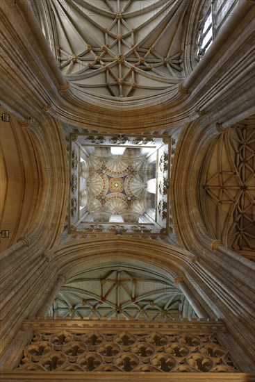 Dome