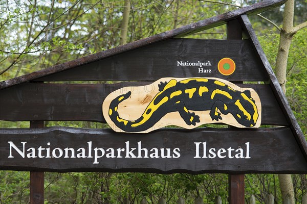 Signboard for the Ilsetal National Park House with Fire salamander