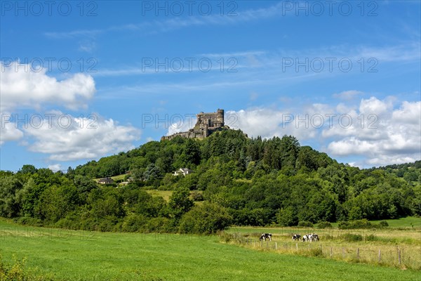 Murol castle