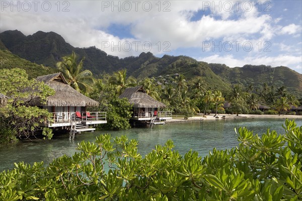 Bungalows by the sea with palm trees in front of green hills