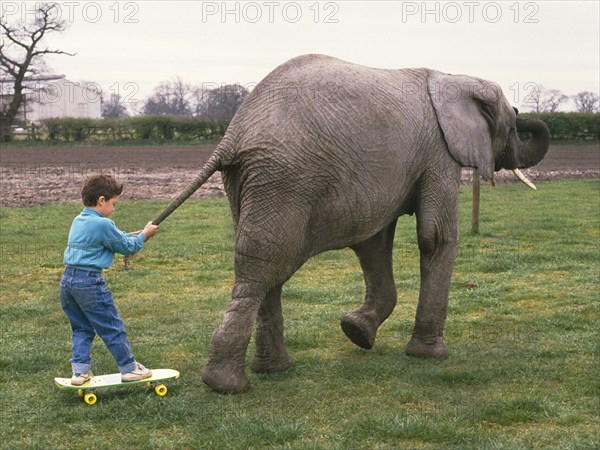 Boy is drawn by an elephant