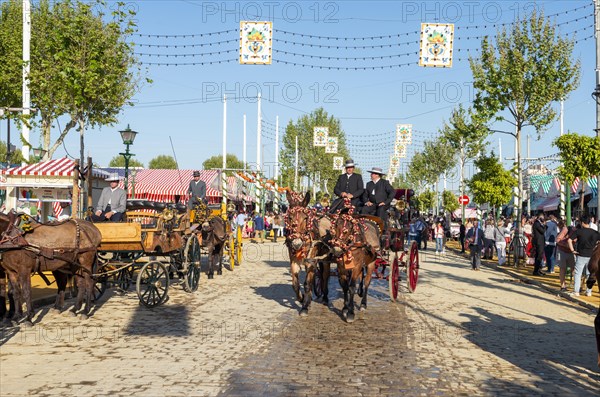 Adorned horse-drawn carriage in front of Casetas