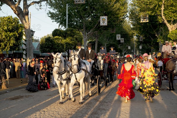 Horse-drawn carriage in front of Casetas