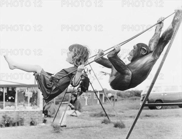 Girl and chimpanzee swing