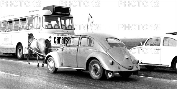 VW Beetle is pulled by a Perd