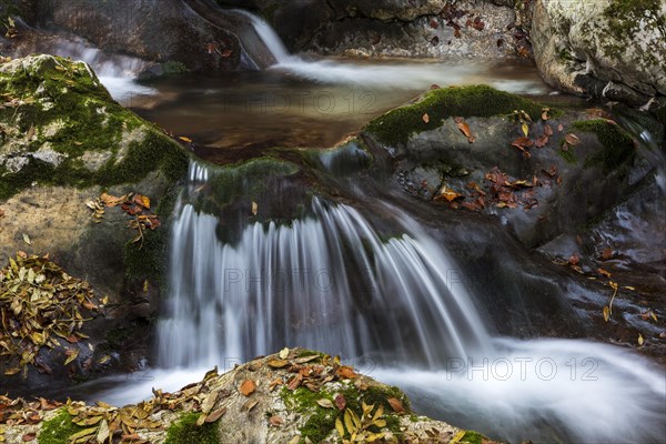 River course of the Lepenica river in autumn