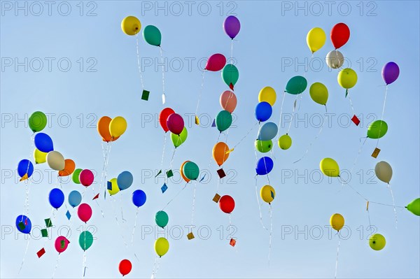 Colorful balloons rise to the sky