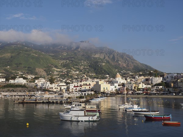Harbor with fishing boats