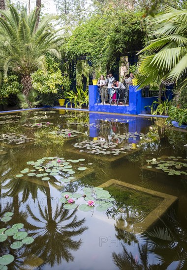 Pond
