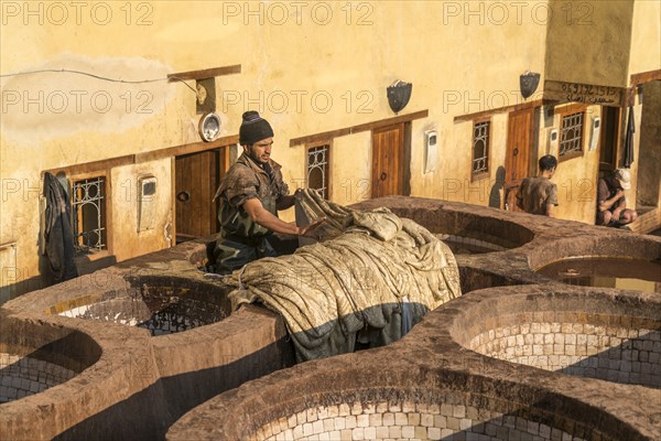Leather tanners on tanks with paint for dyeing leather