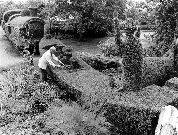 Gardener cuts hedges in the shape of a gondola