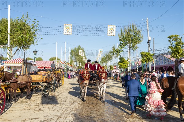 Adorned horse-drawn carriage in front of Casetas