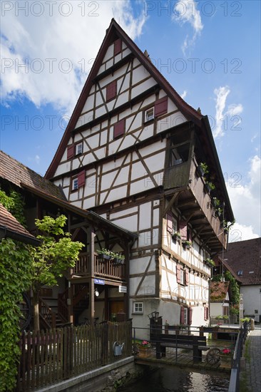 Hoher Wil