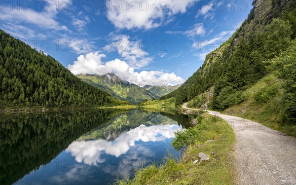 Reflection in the lake