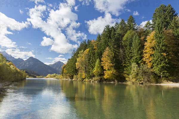 The river Lech with autumnal forest near the Ziegelwiesen