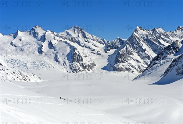 View from the Lotschenlucke over the snow-covered Grosser Aletschfirn towards Konkordiaplatz and the Bernese Alps