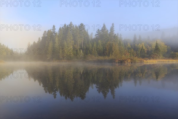 Morning fog