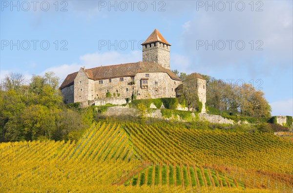 Castle Lichtenberg