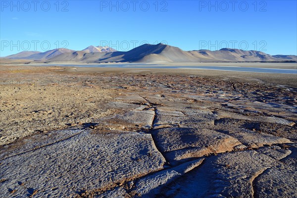 Lagune Salar de Talar mit den Bergen Cerros de Incahuasi