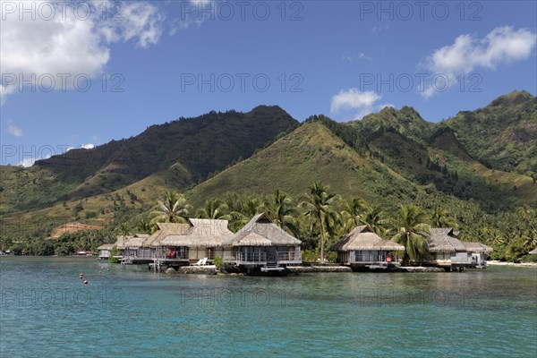 Bungalows by the sea with palm trees in front of green hills