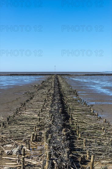 Groyne at the Eidersperrwerk at low tide and cloudless sky
