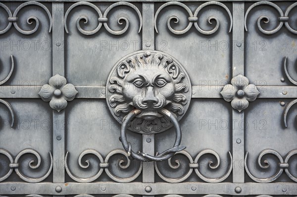 Iron gate with lion's head as door knocker