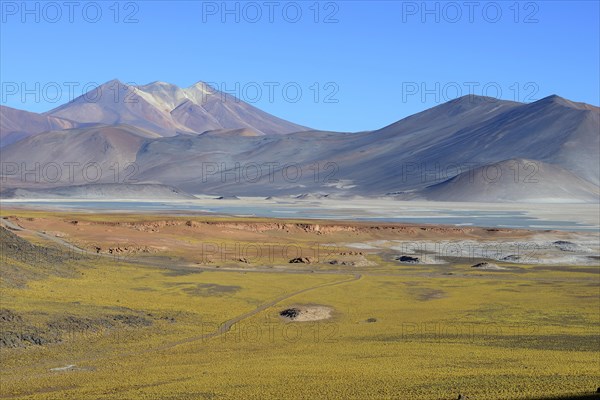 Lagune Salar de Talar mit kahlen Bergen Cerros de Incahuasi und Paso de Sica