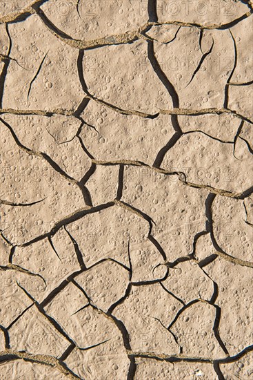 Drying cracks in clay soil
