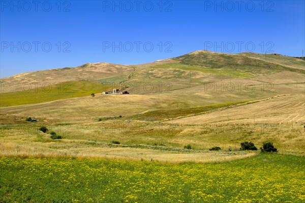 Grain fields near Contrada Sant' Agata