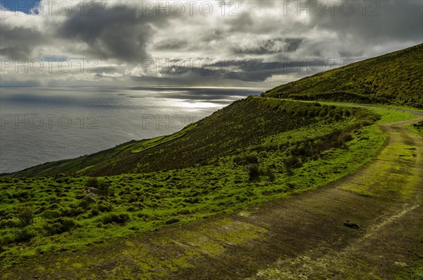 Moss-covered road at the volcano Caldeirao