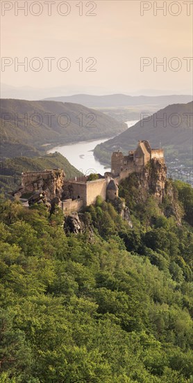 Ruin of Aggstein Castle in the evening light