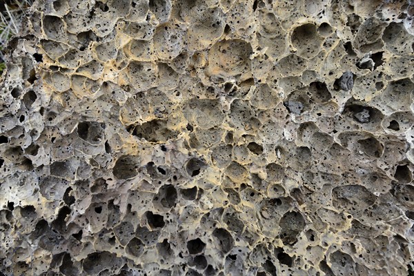 Weathered lava stone
