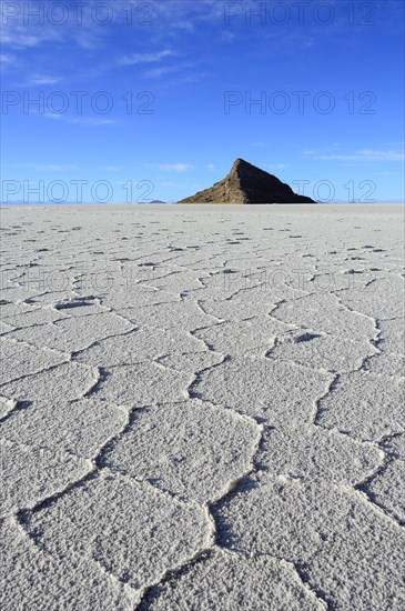 Honeycomb structure on the salt lake