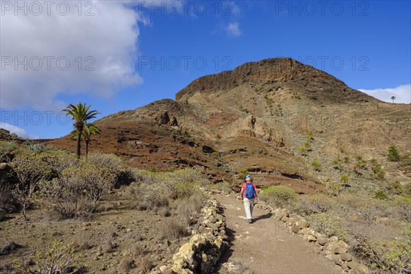 Hiking trail