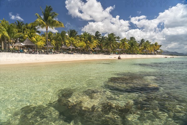 Dream beach with palm trees at the bay of Turtle Bay