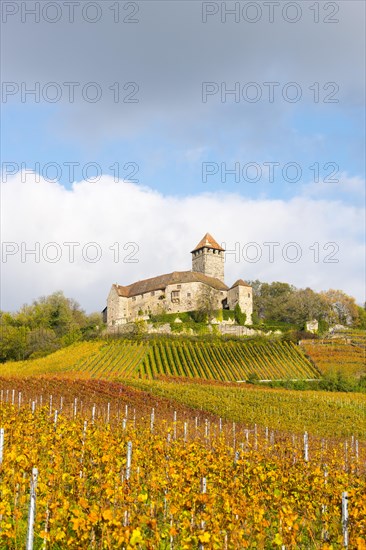 Castle Lichtenberg