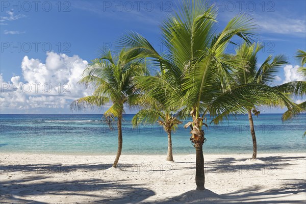 Dream beach