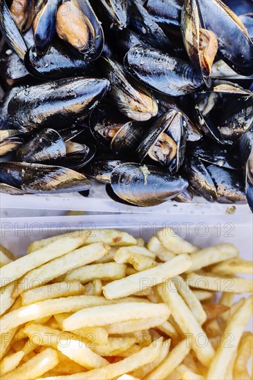 French national dish