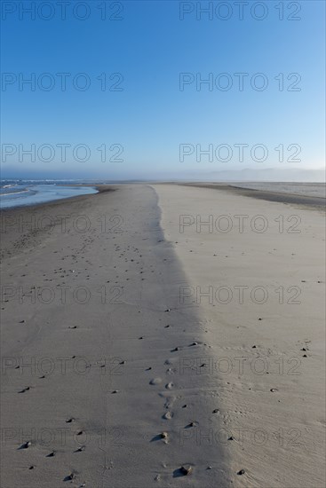 Early mist over the empty beach