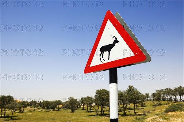 Game crossing shield with roe deer