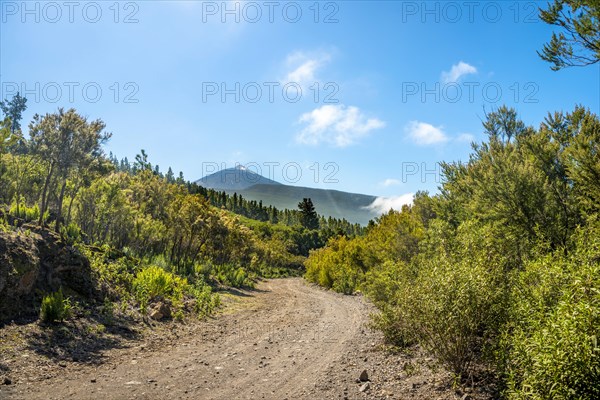 Gravel road