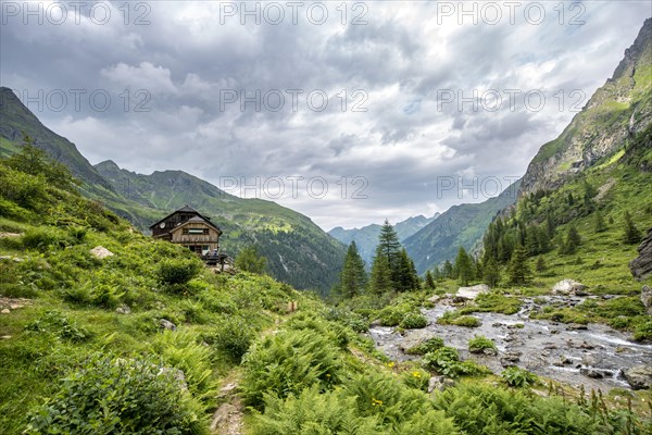 Gollinghutte at Steinriesenbach